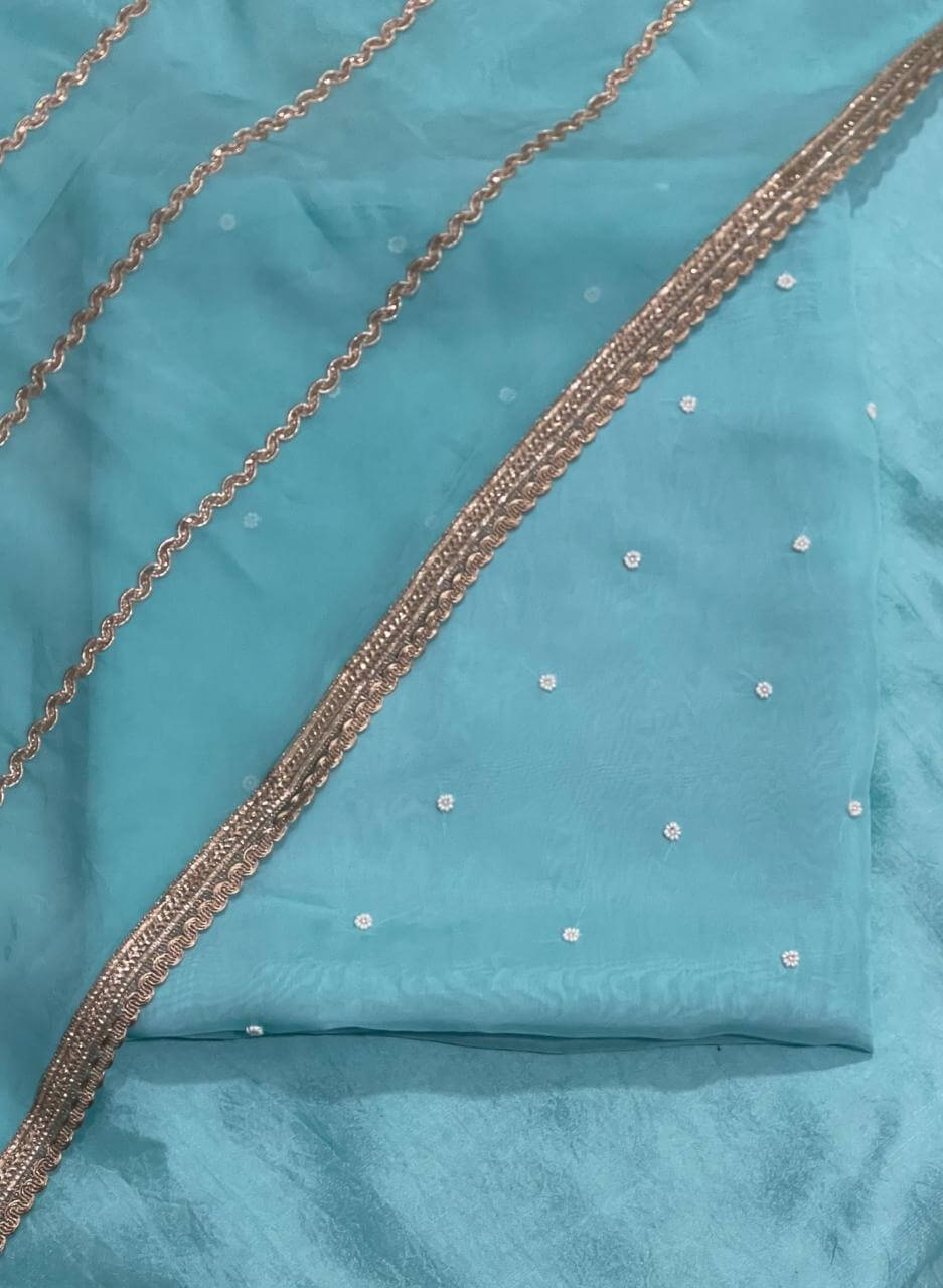 Sky blue Organza Suit | Party Wear | Wedding | Jaggo | Ring Ceremony | Festival |
