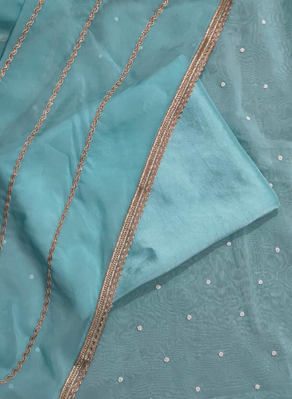 Sky blue Organza Suit | Party Wear | Wedding | Jaggo | Ring Ceremony | Festival |