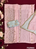 FS2960 | Satin Organza Suit | Party Wear | Jaggo Wear | Festival Wear | Contrast |